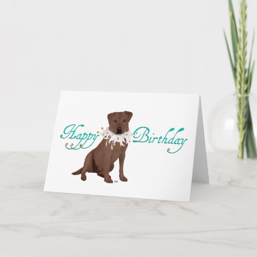 Chocolade Labrador Retriever Birthday Kaart (Voorkant)