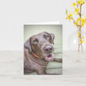 Chocolade Labrador retriever blanco briefkaart (Gele Bloem)