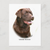 Chocolade Labrador Retriever Briefkaart (Voorkant)
