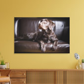 Chocolade Labrador Retriever Canvas Afdruk (Insitu (Woonkamer))