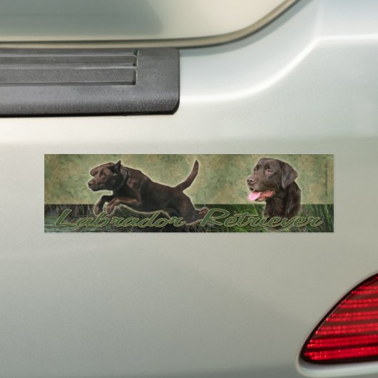 Chocolade Labrador Retriever collage bumper sticke Bumpersticker (Op auto)