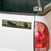 Chocolade Labrador Retriever collage bumper sticke Bumpersticker (Op Truck)