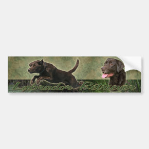 Chocolade Labrador Retriever collage bumper sticke Bumpersticker
