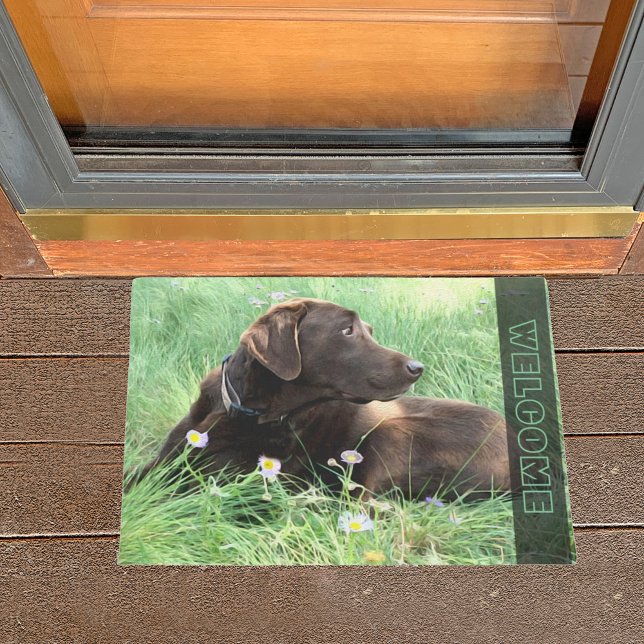 Chocolade Labrador Retriever Dog in grasbloemen Deurmat (Creator heeft geüpload)