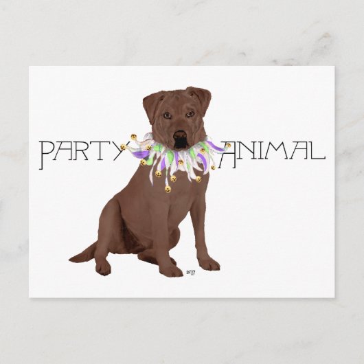 Chocolade Labrador Retriever Feestje Briefkaart (Voorkant)
