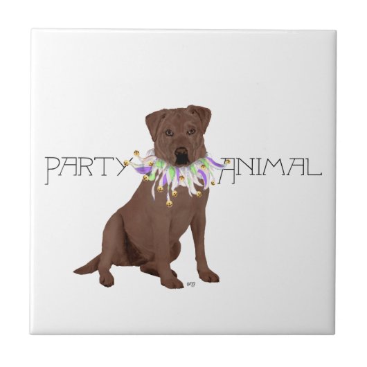 Chocolade Labrador Retriever Feestje Tegeltje (Voorkant)