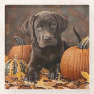 Chocolade Labrador Retriever Herfst Glazen Onderzetter