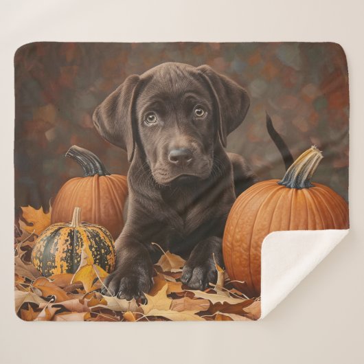 Chocolade Labrador Retriever Herfst Sherpa Deken (Voorkant (horizontaal))