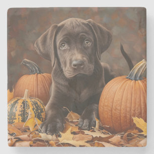 Chocolade Labrador Retriever Herfst Stenen Onderzetter