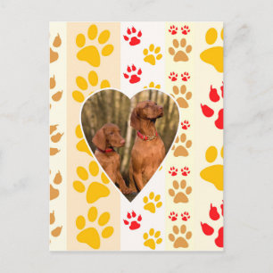 Chocolade Labrador Retriever Hond Hart Poot Print Briefkaart