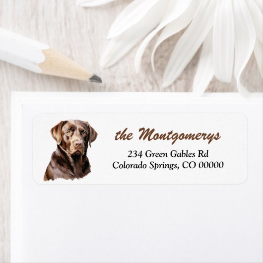Chocolade Labrador Retriever Hond Retouradres Etiket (Insitu)