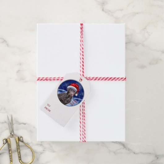 Chocolade Labrador Retriever Kerstmis Cadeaulabel (Met Touw)