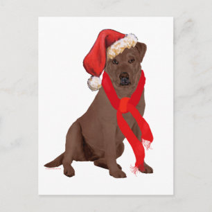Chocolade Labrador Retriever Kerstmis Feestdagenkaart