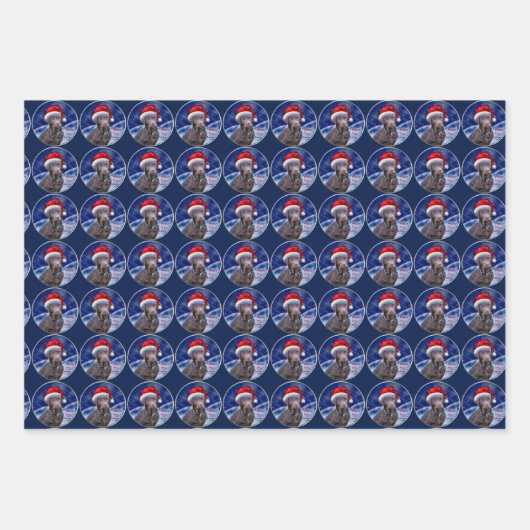 Chocolade Labrador Retriever Kerstmis Inpakpapier Vel (Voorkant 3)