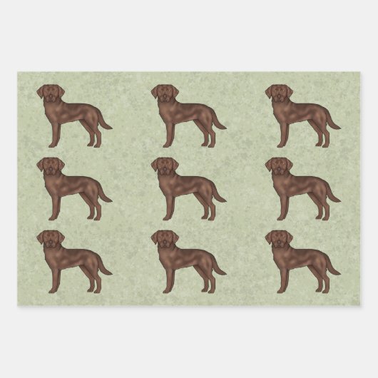 Chocolade Labrador Retriever Lab Hondenpatroon Gro Inpakpapier Vel (Voorkant 3)