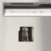 Chocolade Labrador Retriever Magneet (Insitu (Vaatwasser))