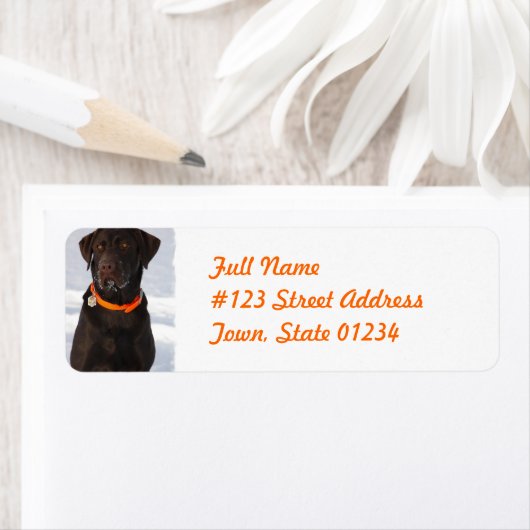 Chocolade Labrador Retriever Mailing Label (Insitu)