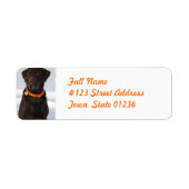 Chocolade Labrador Retriever Mailing Label (Voorkant)