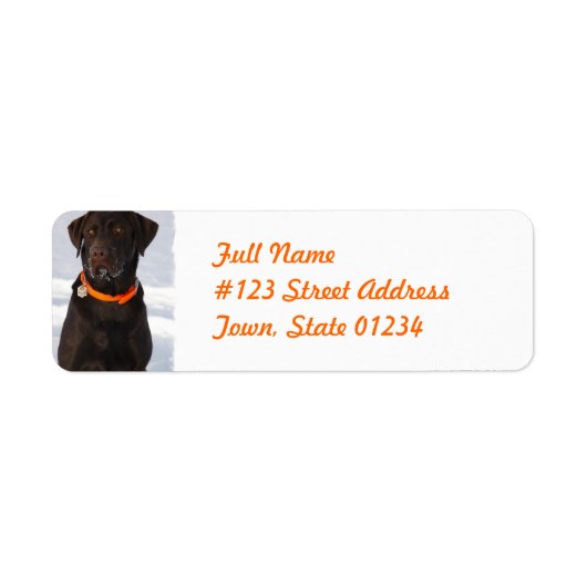 Chocolade Labrador Retriever Mailing Label (Voorkant)