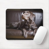 Chocolade Labrador Retriever Muismat (Met muis)