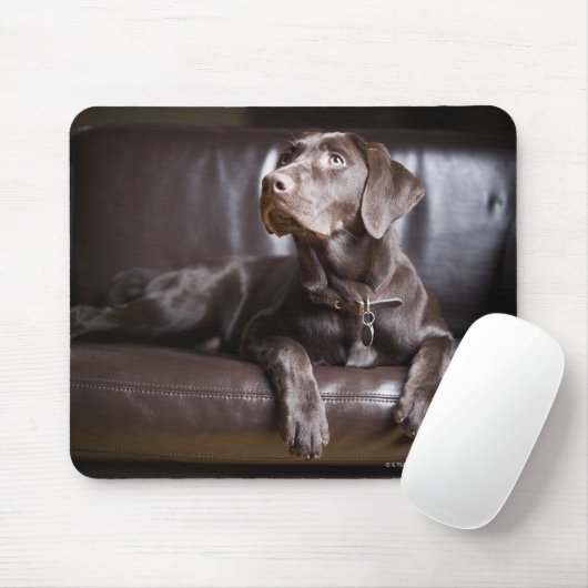 Chocolade Labrador Retriever Muismat (Met muis)