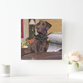 Chocolade Labrador Retriever op voorzitter Vierkante Klok (Huis)