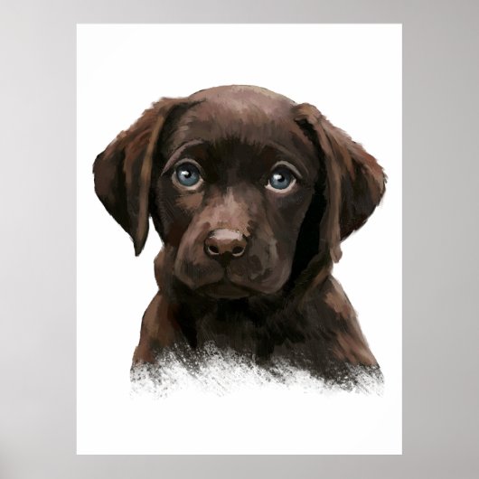 Chocolade Labrador Retriever Poster (Voorkant)