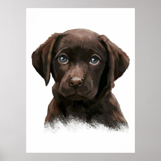 Chocolade Labrador Retriever Poster (Voorkant)