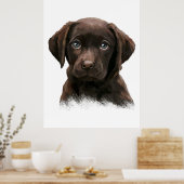 Chocolade Labrador Retriever Poster (Keuken)