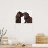 Chocolade Labrador Retriever Puppies Poster (Keuken)