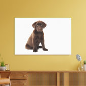 Chocolade Labrador Retriever Puppy Canvas Afdruk (Insitu (Woonkamer))