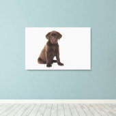 Chocolade Labrador Retriever Puppy Canvas Afdruk (Insitu (Houten vloer))