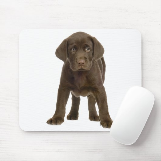 Chocolade Labrador Retriever Puppy Dog Mousepad Muismat (Met muis)