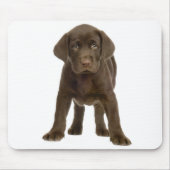 Chocolade Labrador Retriever Puppy Dog Mousepad Muismat (Voorkant)