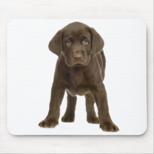 Chocolade Labrador Retriever Puppy Dog Mousepad Muismat