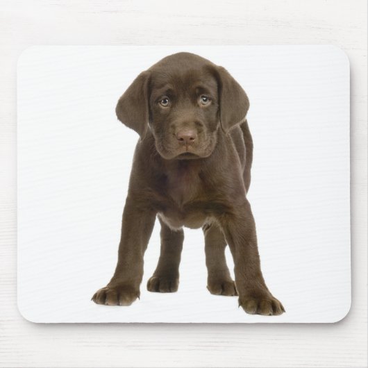 Chocolade Labrador Retriever Puppy Dog Mousepad Muismat (Voorkant)