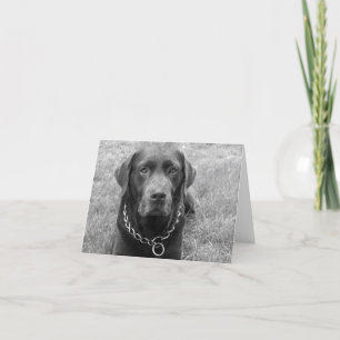 Chocolade Labrador Retriever Puppy Dog Note Card Kaart