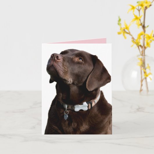Chocolade Labrador Retriever Puppy Dog Note Kaart (Gele Bloem)