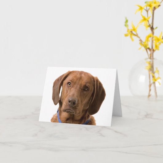 Chocolade Labrador Retriever Puppy Dog Note Kaart (Gele Bloem)