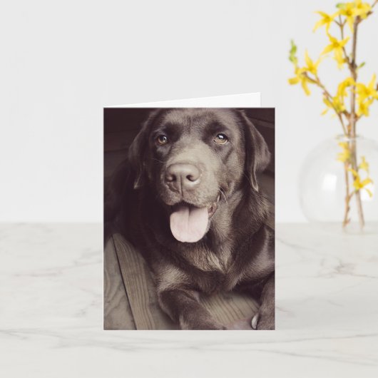 Chocolade Labrador Retriever Puppy Dog Note Kaart (Gele Bloem)