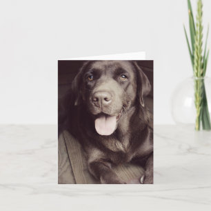 Chocolade Labrador Retriever Puppy Dog Note Kaart