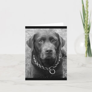 Chocolade Labrador Retriever Puppy Dog Note Kaart