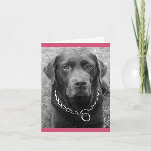 Chocolade Labrador Retriever Puppy Dog Note Kaart (Voorkant)
