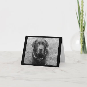 Chocolade Labrador Retriever Puppy Hond Notitiekaa Kaart
