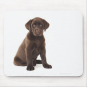 Chocolade Labrador Retriever Puppy Muismat (Voorkant)