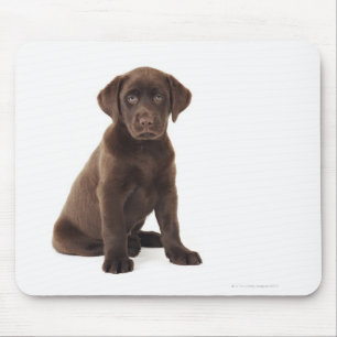 Chocolade Labrador Retriever Puppy Muismat