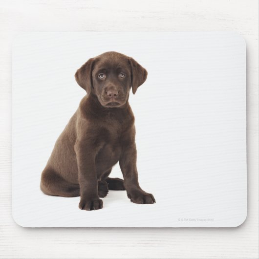 Chocolade Labrador Retriever Puppy Muismat (Voorkant)