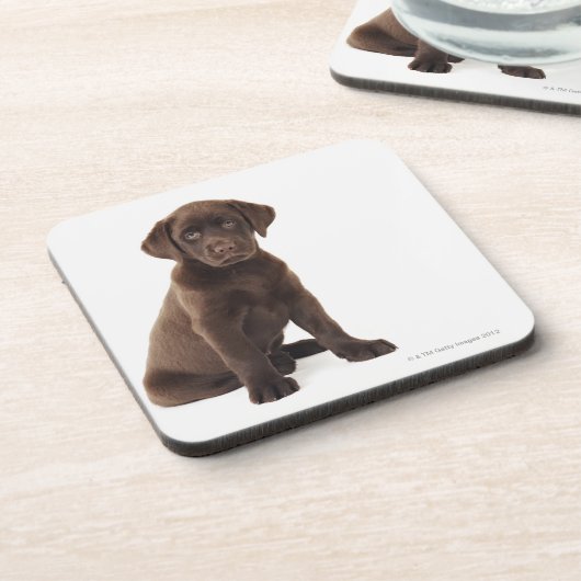 Chocolade Labrador Retriever Puppy Onderzetter (Linkerzijde)