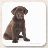 Chocolade Labrador Retriever Puppy Onderzetter (Voorkant)