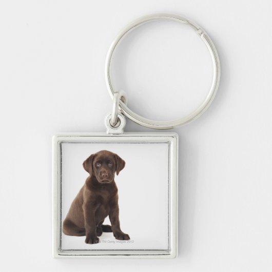 Chocolade Labrador Retriever Puppy Sleutelhanger (Voorkant)